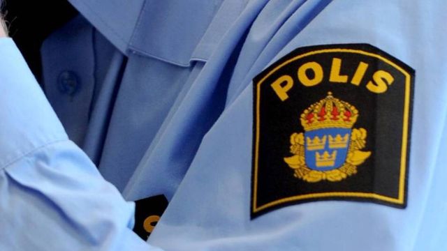 Svenskene vil ta beslag i domener