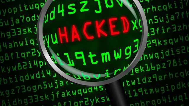 Active 24 rammet av DDoS og hacking