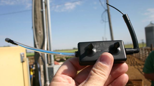 IBM skal overvåke kyr på beite