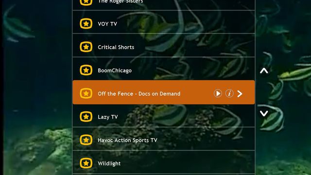 Detaljer om Skypes TV-prosjekt lekker ut