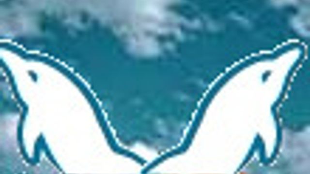 MySQL går så det suser og vil på børs