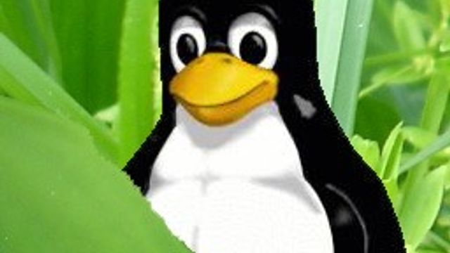 Linux må ta igjen den grønne bølgen