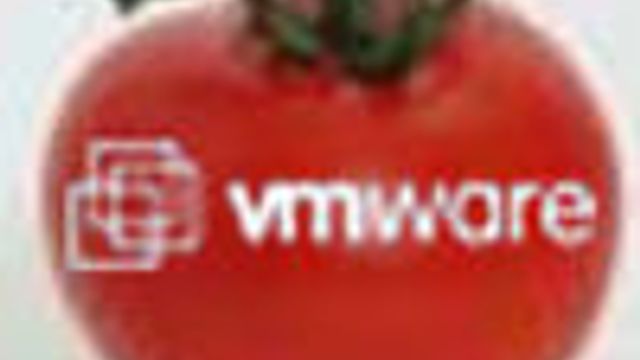 Nystartede Tomato rir VMware-bølgen