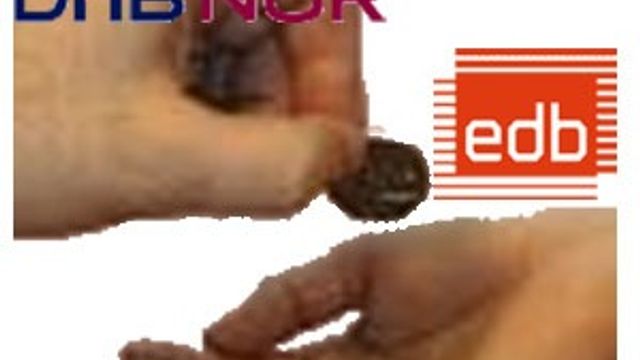 DnB Nor kjøper Paynet av EDB