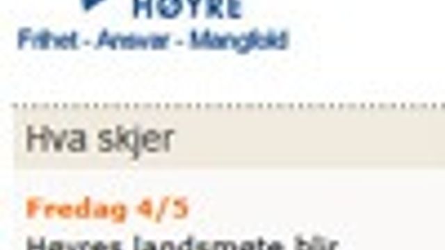Vil utnytte nettet i valgkamp