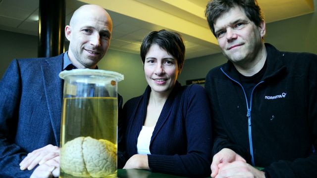 Nå er fysikere blitt hjerneforskere: Modellerer hjernen som en elektrokjemisk maskin