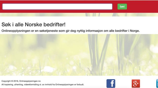 Norsk nettside siktet for grovt bedrageri av flere hundre bedrifter