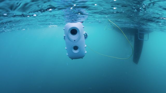 Blueye Robotics er ikke først ute med undervannsdroner. Det ser de på som en fordel