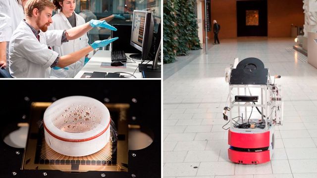 Forskere ved NTNU utvikler en robot som skal styres av levende hjerneceller