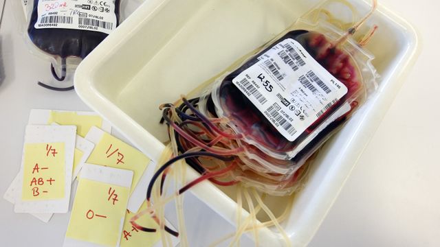 Nå kan forskere masseprodusere kunstig blod