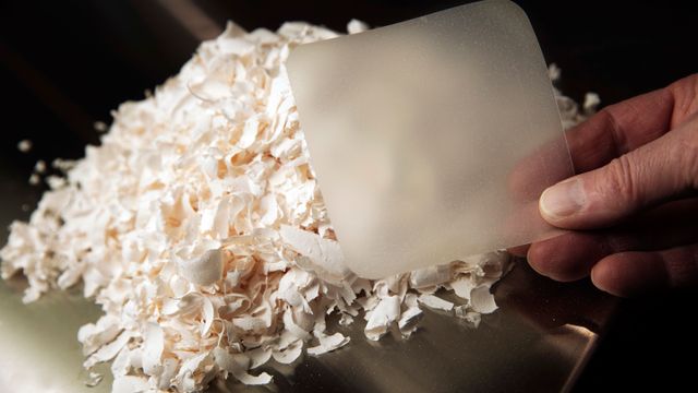 Et nytt plaster basert på eggeskall kan få sårene til å gro i løpet av tre uker