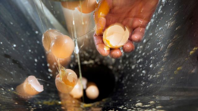 Membranen i eggeskall sikrer knekkelyden i pølser