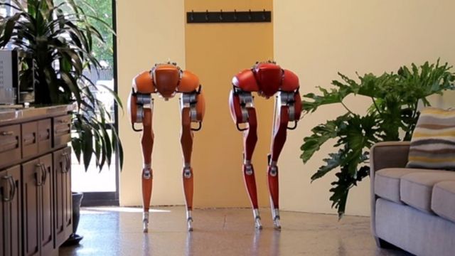 Roboten Cassie går med samme fjærende bevegelse som mennesker