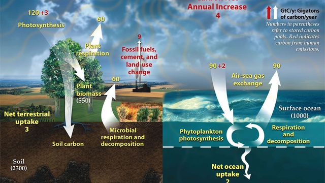 Opphopning av CO2 i havet kan sette i gang en ny masseutryddelse allerede om 100 år