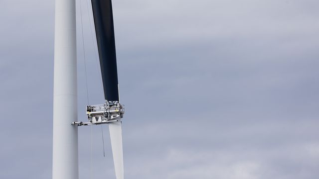 Kan få krav om å male 48 vindturbiner: Kan redusere fugledød med 70 prosent