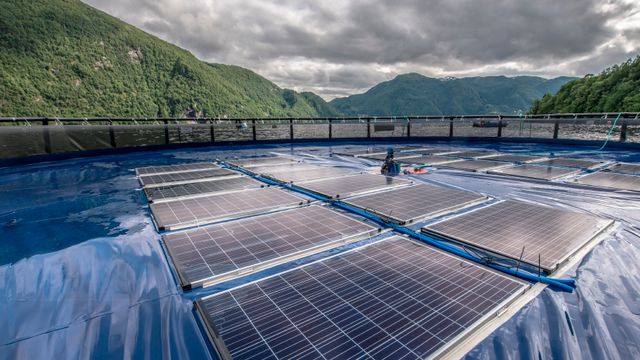 Ocean Sun leverer flytende sol til Statkraft i Albania