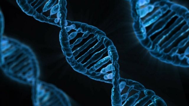 Biohackere endrer DNA-et sitt med billig genredigerings-teknologi