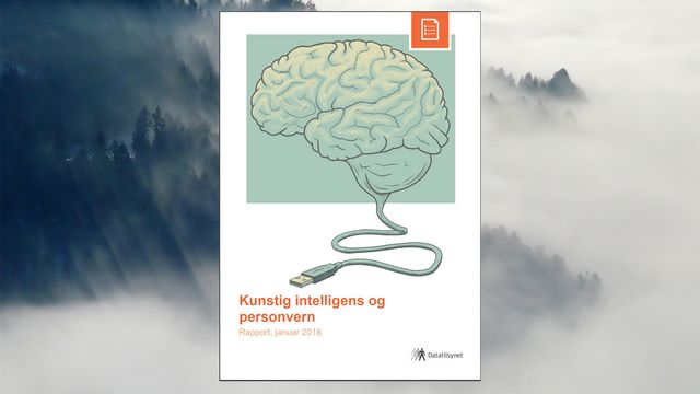 – Vi tror ikke at kunstig intelligens blir personvernets undergang