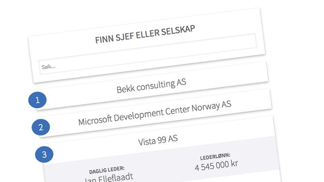 Finn din sjef: Sjekk lederlønna i 921 norske IT-selskaper