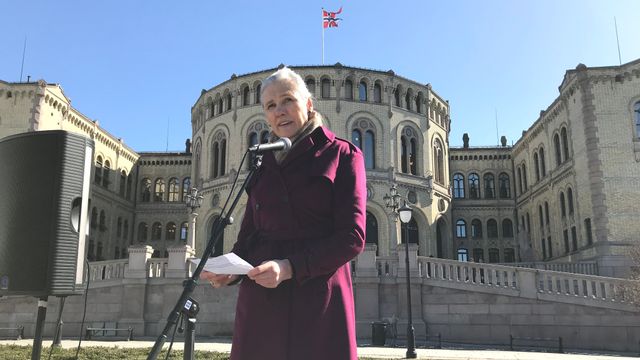 Norsk Bergindustri feiret seg selv med utstilling foran Stortinget i strålende vær