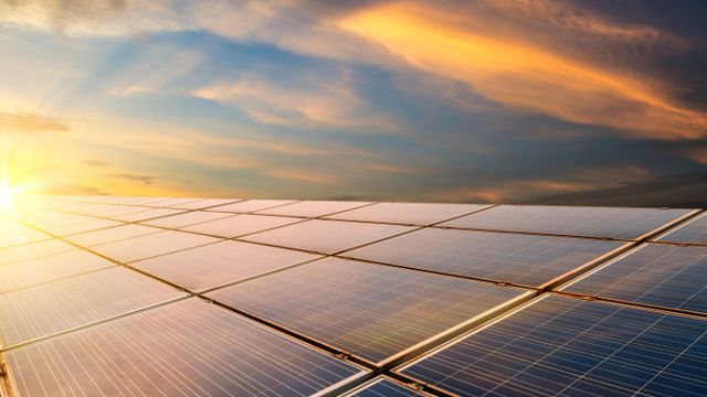 Vil bygge Sveriges største solpark på en av landets giftigste fyllinger