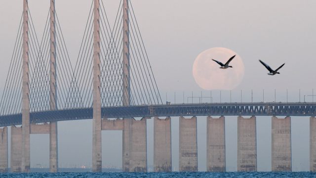 Trafikkmyndighetene i Sverige og Danmark utreder muligheten for fast forbindelse mellom Helsingør og Helsingborg