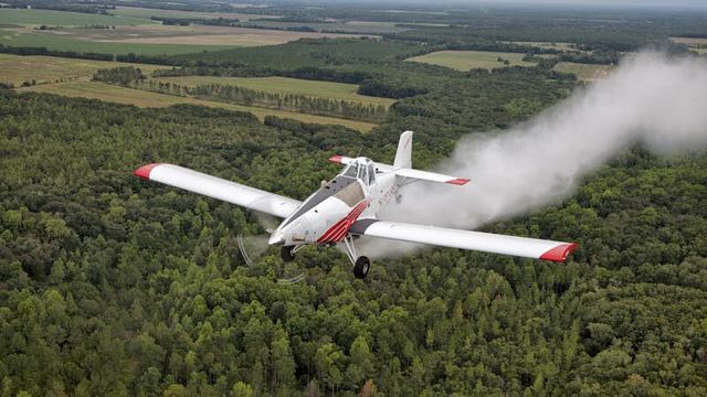 Ubemannede fly skal slokke skogbranner