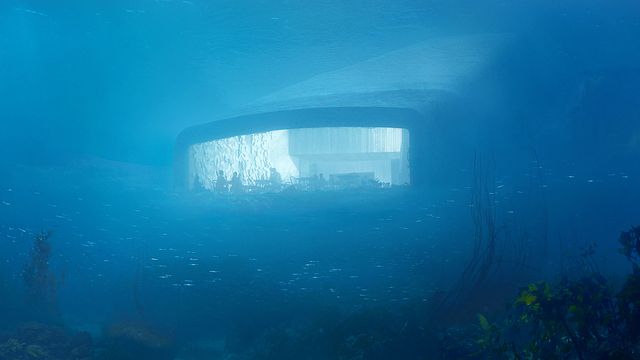 Verdens største undervannsrestaurant er norsk - nå står investorene klare for en "kopi" i Singapore
