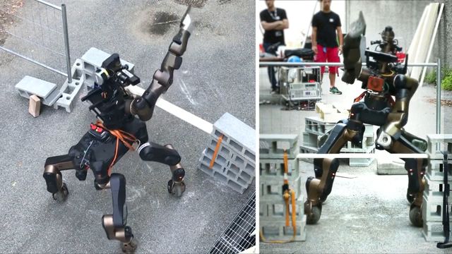 Trener fabeldyr-robot opp til å redde mennesker i nød