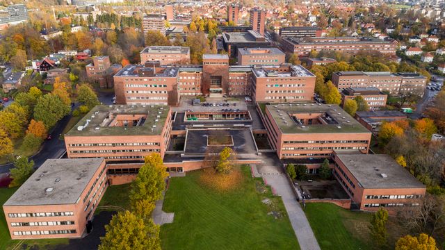 Næringslivet ringer Blindern for å headhunte datavitenskap-studenter