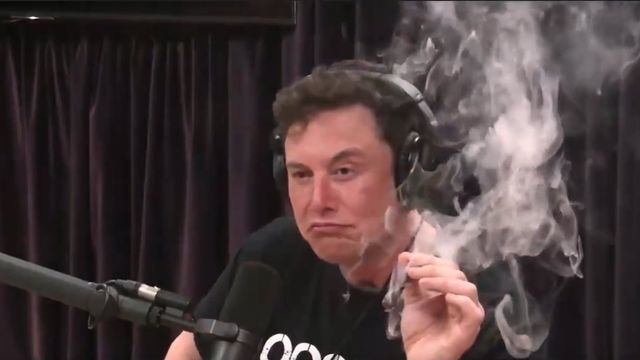 Elon Musk røyket marihuana, snakket om kunstig intelligens og kolonisering av verdensrommet