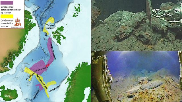 Helt nytt mineralfelt i Norskehavet har høyt innhold av kobber, sink og kobolt