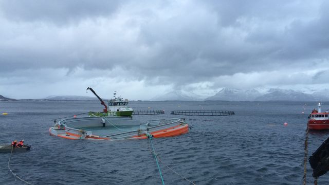Fremtidens oppdrettsanlegg havarerte. Nå krangler de om regningen