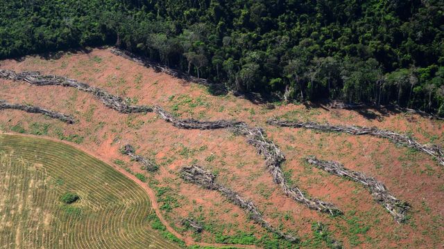 Norge øker støtten til vern av Brasils regnskog - Brasil truer med økt avskoging