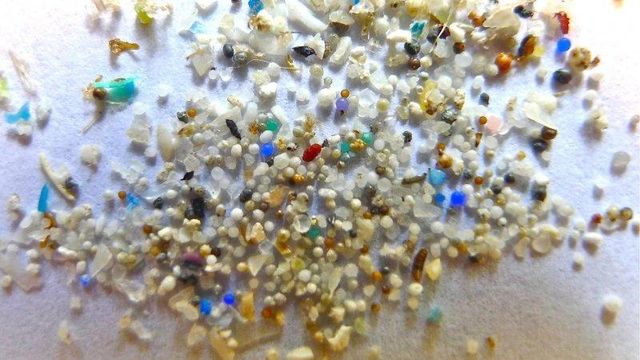Rammer ikke bare livet i havet: Mikroplast spres også på land