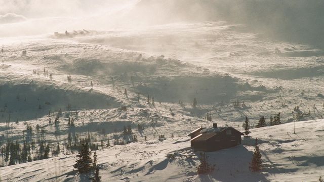 Bygger beredskap med mobilnettets hjelp