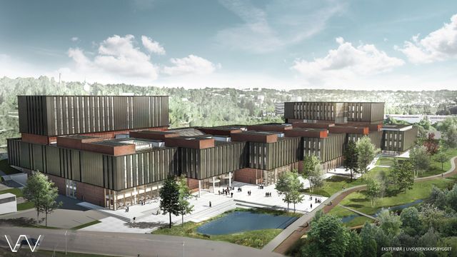 Norges største universitetsbygg blir også Statsbyggs største byggeprosjekt