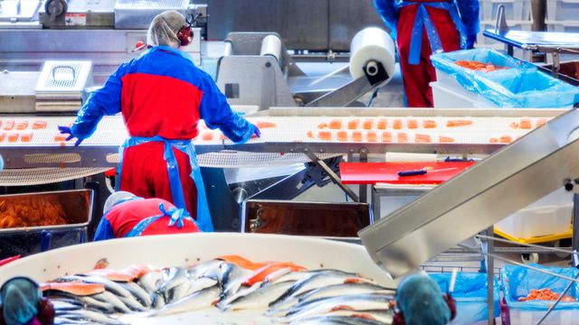 Norge eksporterte sjømat for 8,6 milliarder kroner i januar