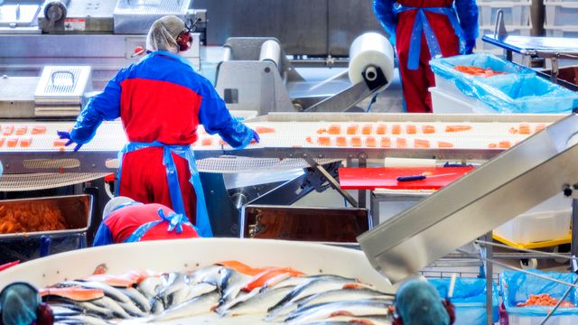 Norge eksporterte sjømat for 8,6 milliarder kroner i januar