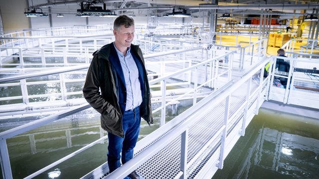 Norges første landbaserte lakseoppdrett: Plastbiter og bakterier skal hindre massedød