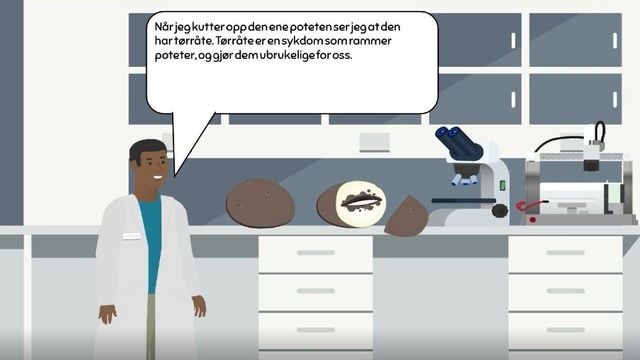 Bioteknologi inn i skolen: Er det lurt å gjenopplive mammuter? 