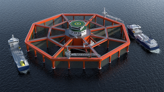 Ikke skatteendring for havbruk til havs: Næringen lever i frykt, mener Sjømat Norge