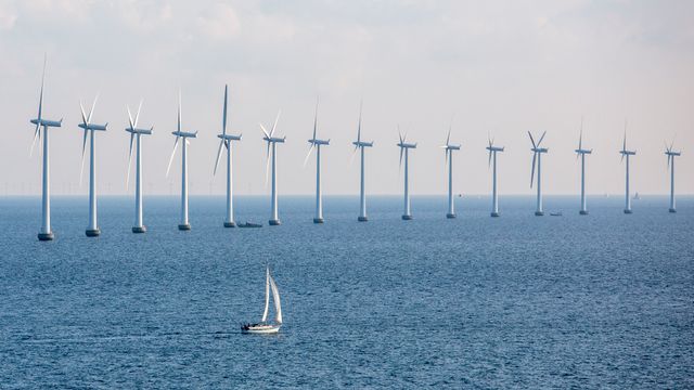 Danmark bygger rekordstor vindmøllepark i Nordsjøen