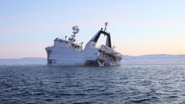 Bruker isbjørn-GPS for å spore havarert tråler nord for Svalbard