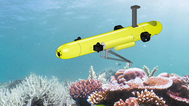 Fem våpen som kan gjenopprette korallrevene