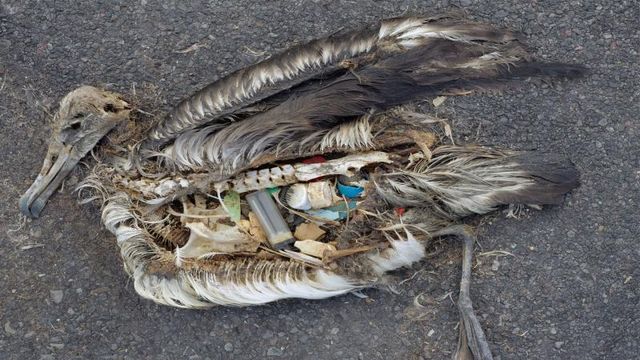 Norge ber 180 land slutte opp om strengere regler for handel av plastsøppel