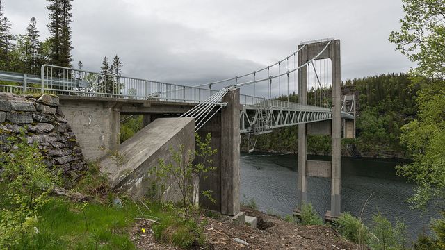 Ni bruer skal utbedres for å tåle tunge tømmerbiler