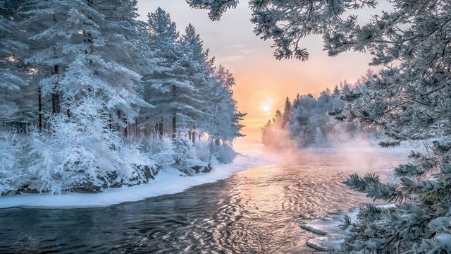 Finland investerer 970 millioner i sikkerhet