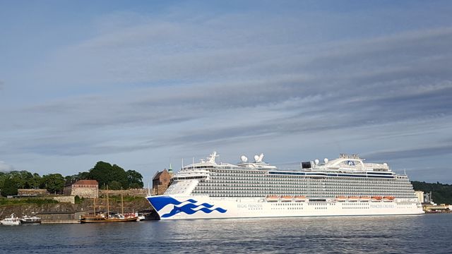 Verken cruiseindustrien eller andre reddes av usannsynlige scenarioer