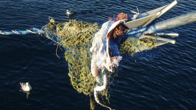 Milevis av tapte fiskeredskaper er fjernet, men ikke alt